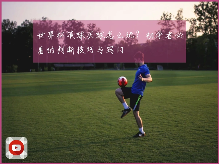 世界杯滚球买球怎么玩？初学者必看的判断技巧与窍门