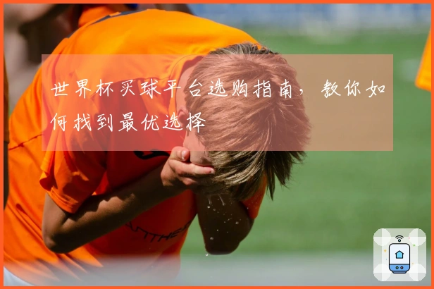 世界杯买球平台选购指南，教你如何找到最优选择