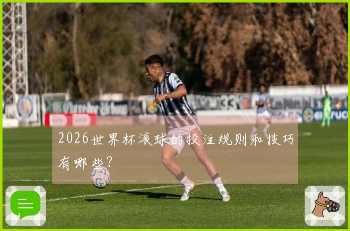 2026世界杯滚球的投注规则和技巧有哪些？