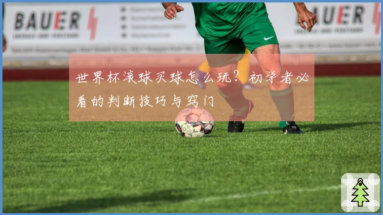 世界杯滚球买球怎么玩？初学者必看的判断技巧与窍门