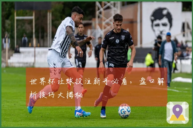 世界杯让球投注新手必看，盘口解析技巧大揭秘